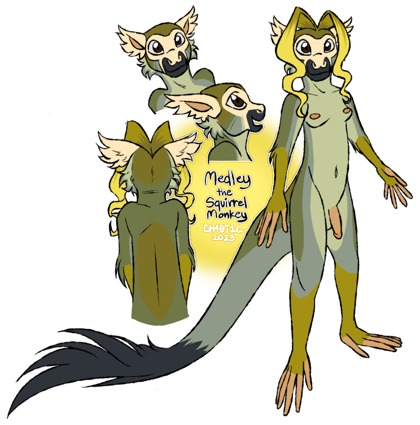 anthro areola blonde_hair breasts brown_eyes cebid ch40t1c curled_hair digital_media_(artwork) flaccid fluffy_ears fur genitals green_body green_fur gynomorph hair haplorhine hi_res intersex long_tail mammal medley_(ch40t1c) model_sheet monkey multicolored_body navel new_world_monkey nude penis primate rear_view side_view small_breasts solo squirrel_monkey tail tail_tuft trans_(lore) trans_woman_(lore) tuft