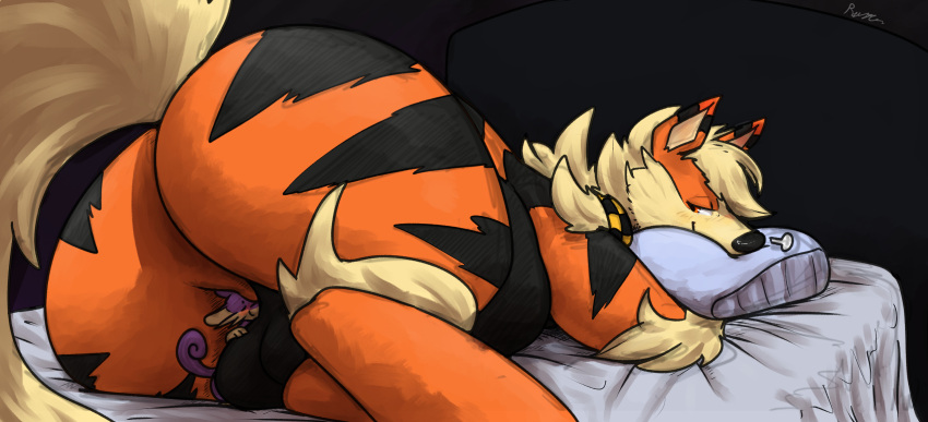 anthro arcanine balls bed bedroom_eyes belly big_belly big_butt blush breath butt canid duo feral fur furniture generation_1_pokemon genitals hi_res laying_on_balls looking_back looking_pleasured lying macro male mammal murid murine narrowed_eyes nintendo on_bed on_side orange_body orange_fur pokemon pokemon_(species) raised_tail raster_dreams rat rattata red_eyes rodent seductive signature size_difference smile tail under_butt