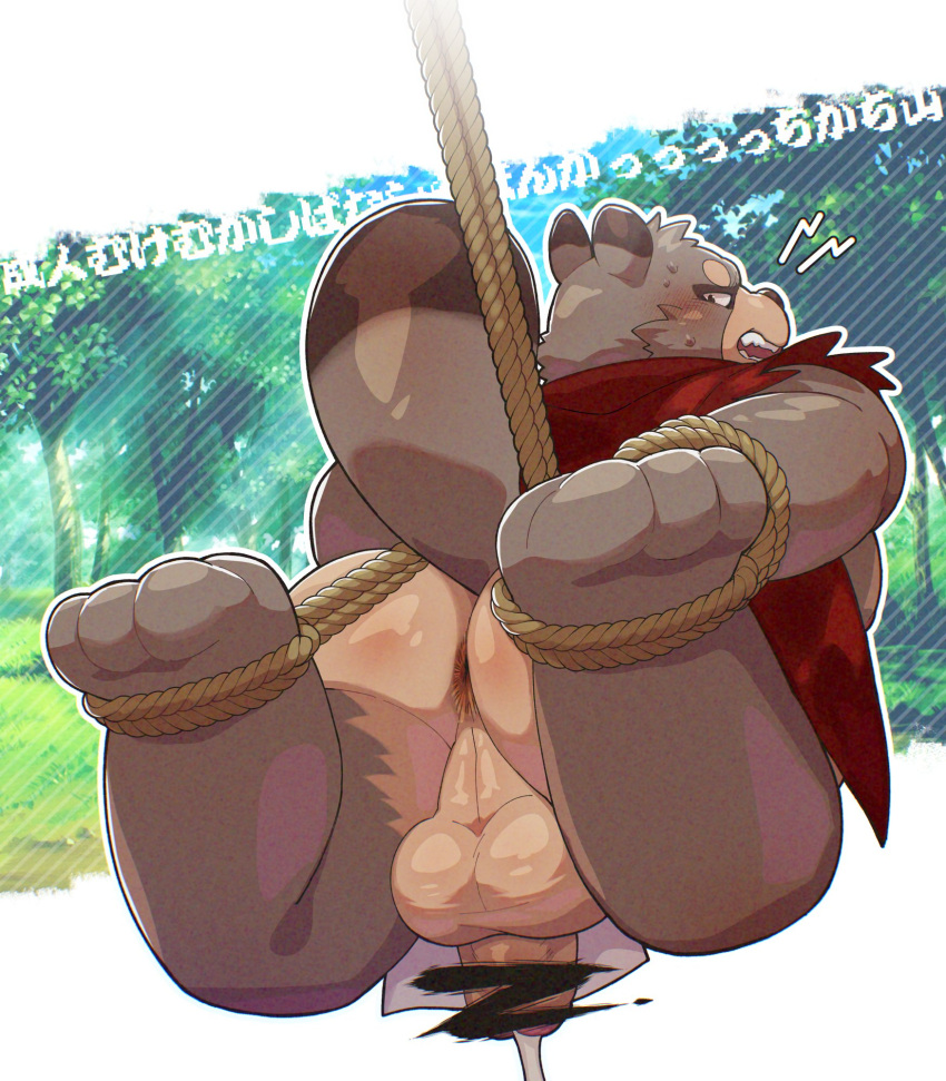 2023 anthro asian_clothing balls blush bound butt canid canine censored clothing east_asian_clothing fundoshi genitals hi_res japanese_clothing kachi-kachi_yama kemono male mammal overweight overweight_male penis raccoon_dog rope solo tanuki un0sk underwear white_clothing white_fundoshi white_underwear