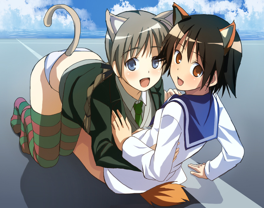 all_fours animal_ears blue_eyes blush braid breasts brown_eyes brown_hair cat_ears face long_hair looking_back lynette_bishop medium_breasts miyafuji_yoshika multicolored multicolored_clothes multicolored_legwear multiple_girls necktie panties piiko_(aa_doushiyou) school_uniform short_hair single_braid sitting smile strike_witches striped striped_legwear sweater tail thighhighs underwear world_witches_series