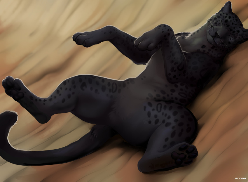 ambiguous_gender artist_name black_body black_fur black_pawpads eyes_closed facial_spots featureless_crotch felid feral front_view full-length_portrait fur hi_res lying mammal mouth_closed on_back pawpads portrait roobin simple_background solo spotted_face spotted_legs whiskers