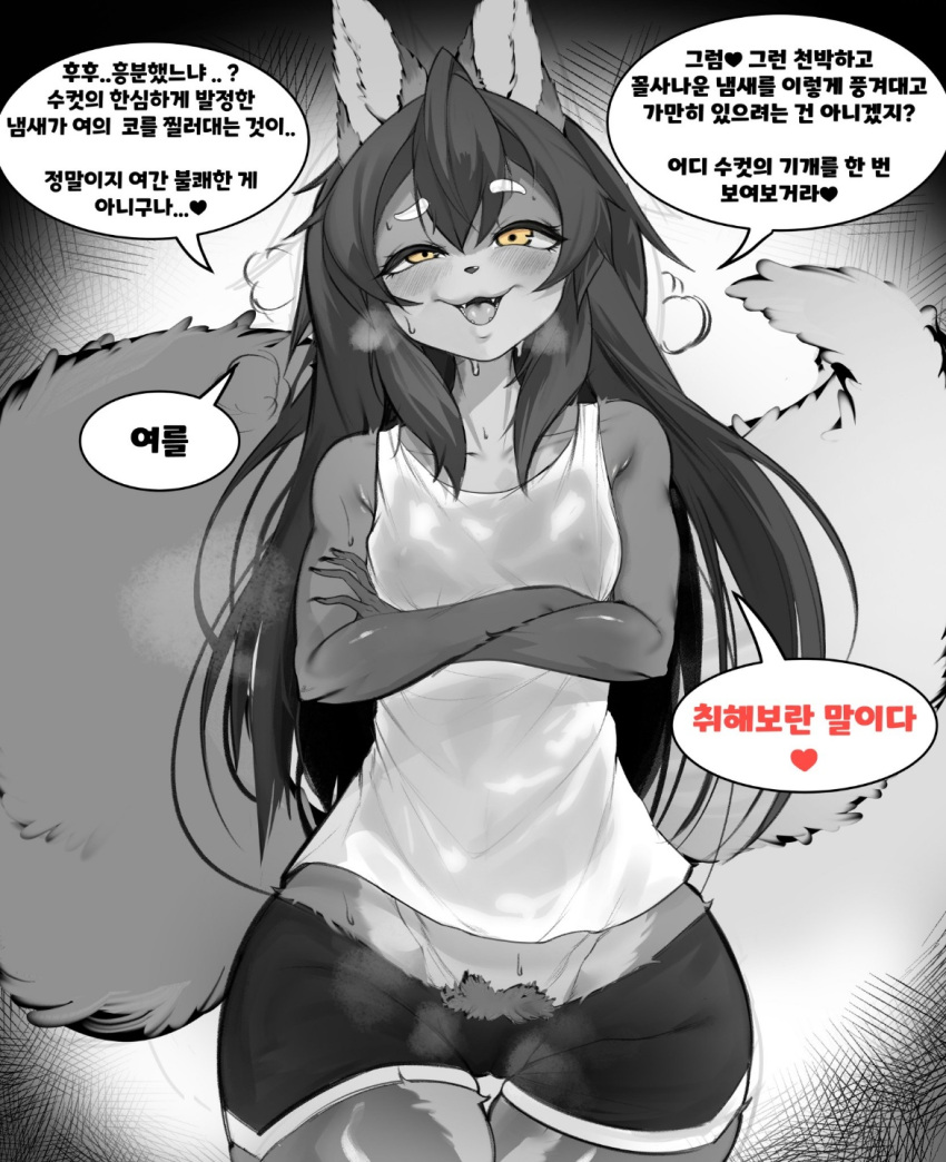 anthro aroused blush bodily_fluids bottomwear breath canid canine clothing eyebrows eyelashes female female_anthro fluffy fluffy_tail fox gloves_(marking) hair hi_res in_heat kantan kemono korean_text mammal markings monochrome multicolored_body open_mouth panting partially_translated pubes shirt shorts solo_focus sweat tail tank_top text topwear translation_check translation_request