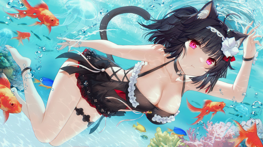 1girl animal_ear_fluff animal_ears anklet bangs black_bow black_choker black_hair black_wristband blush bow breasts cat_ears cat_girl cat_tail choker cleavage closed_mouth collarbone coral_reef devil_heavens diving fish flower goldfish hair_flower hair_ornament hairband highres jellyfish jewelry lace-trimmed_hairband lace_trim large_breasts lingerie navel original red_eyes ripples see-through short_hair side-tie_costume tail thigh_strap tropical_fish underwater underwear water white_flower white_hairband