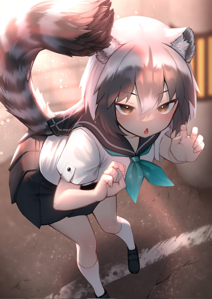 1girl akuma_(st.takuma) alternate_costume animal_ear_fluff animal_ears bangs bare_arms black_hair blurry blurry_background brown_eyes claw_pose common_raccoon_(kemono_friends) fang grey_hair hair_between_eyes hands_up highres kemono_friends leaning_forward medium_hair miniskirt multicolored_hair neckerchief outdoors parted_lips pleated_skirt raccoon_ears raccoon_girl raccoon_tail sailor_collar school_uniform serafuku shirt shoes short_sleeves skin_fang skirt socks solo standing striped_tail tail tail_through_clothes tsurime