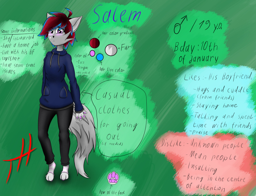 2023 ahoge anthro clothed clothing domestic_cat english_text felid feline felis fur ghostth39 girly grey_body grey_fur hair hi_res hoodie looking_at_viewer male mammal model_sheet palette pawpads red_hair signature solo text topwear