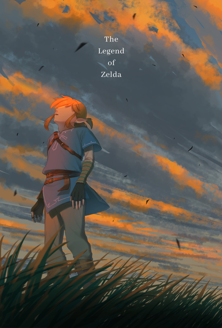 1boy blonde_hair blue_tunic cloud cloudy_sky commentary_request copyright_name faceless faceless_male fingerless_gloves gloves grass highres jimaku link male_focus no_eyes pointy_ears short_ponytail sky solo the_legend_of_zelda the_legend_of_zelda:_breath_of_the_wild
