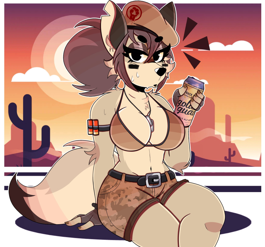 2023 absurd_res anthro arm_tuft belt beret beverage_can bikini bikini_top bodily_fluids bottomwear breasts brown_hair canid canine canis chest_tuft clothing coyote dog_tags elbow_tuft emanata eyebrows eyelashes female fingerless_gloves gloves hair handwear hat headgear headwear hi_res inner_ear_fluff looking_at_viewer mammal navel shorts shoulder_tuft sitting solo super_animal_royale sweat sweatdrop swimwear tuft wireless_shiba