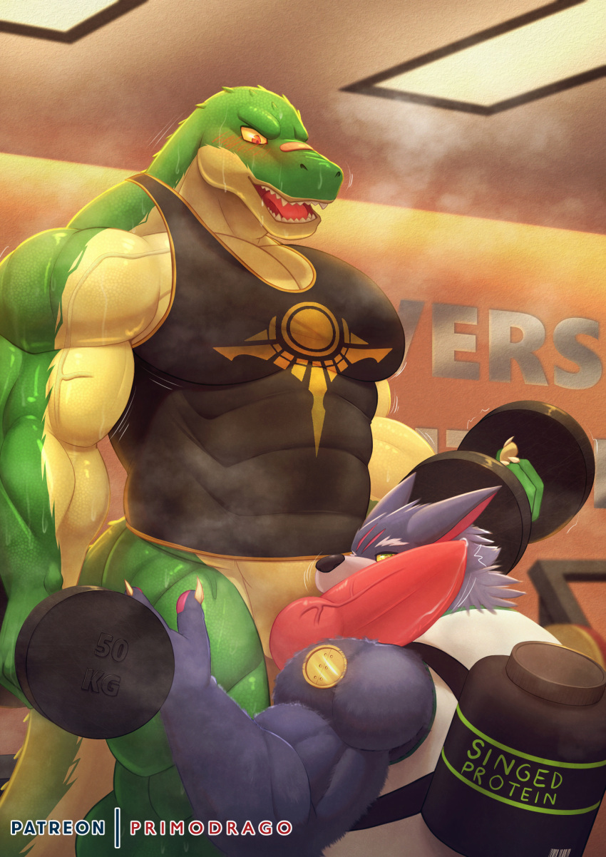 anthro blush bodily_fluids canid canine canis clothing crocodile crocodilian crocodylid dumbbell duo erection exercise genital_fluids genitals gym hi_res humanoid league_of_legends male male/male mammal muscular muscular_anthro muscular_male pecs penis penis_in_face precum primodrago renekton reptile riot_games scalie scar shirt sweat topwear vein veiny_muscles veiny_penis warwick_(lol) weights wolf