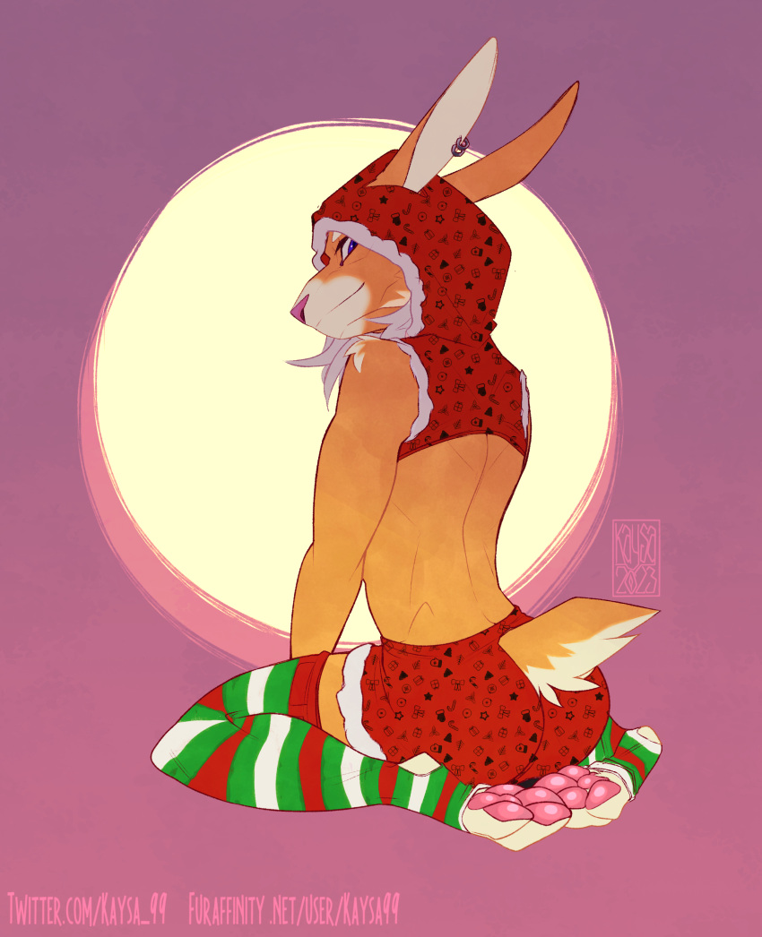 absurd_res butt christmas christmas_clothing clothing ear_piercing feet fur gergalergg hair hare hi_res hoddie holidays kaysa kaysa99 kneeling lagomorph leggings legwear leporid long_hair male mammal orange_body orange_fur patreon pawpads piercing purple_eyes rabbit solo subscribestar