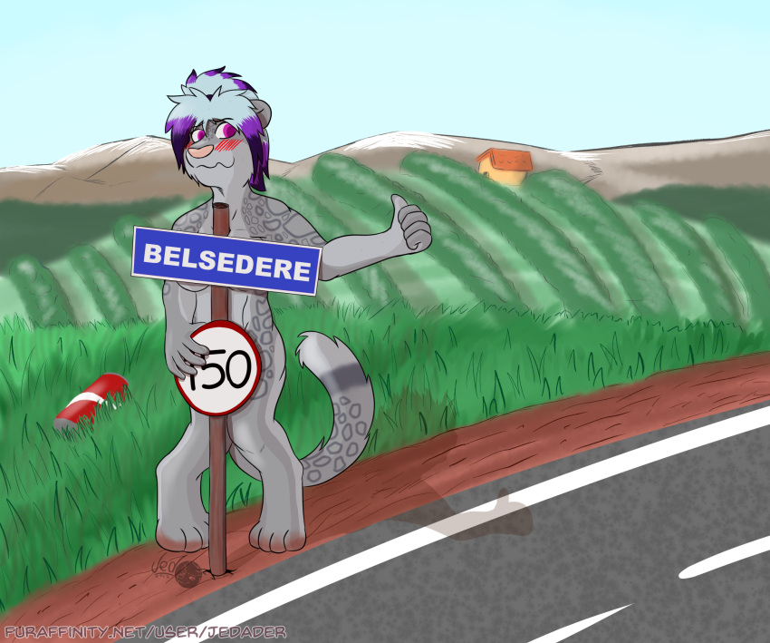 anthro biped blush campaign convenient_censorship exposed felid female fur gesture grass hair herseio hi_res hitchhiking leandre_snow mammal nude outside pantherine pink_eyes plant purple_hair road road_sign simple_background smile snow_leopard solo spots spotted_body spotted_fur thumbs_up