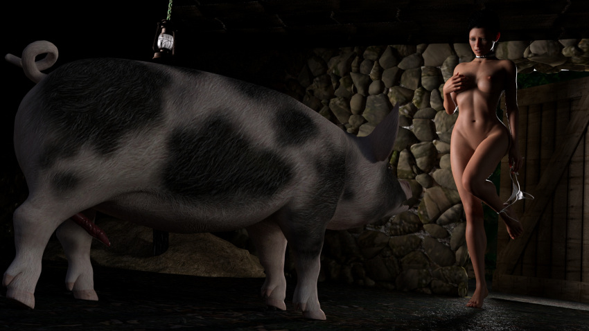 16:9 3d_(artwork) animal_genitalia animal_penis aroused bestiality black_hair breasts clothing collar collar_only daz3d digital_media_(artwork) dim_lighting domestic_pig duo erection farm female feral genitals hair hay hi_res human imminent_sex invalid_tag jollybizz lingerie long_penis male male/female mammal medium_breasts nude panties pattern_clothing penis ponytail porcine_penis scared shed small_waist striped_clothing stripes suid suina sus_(pig) underwear undressing unsure unusual_anatomy unusual_genitalia unusual_penis widescreen wild_boar