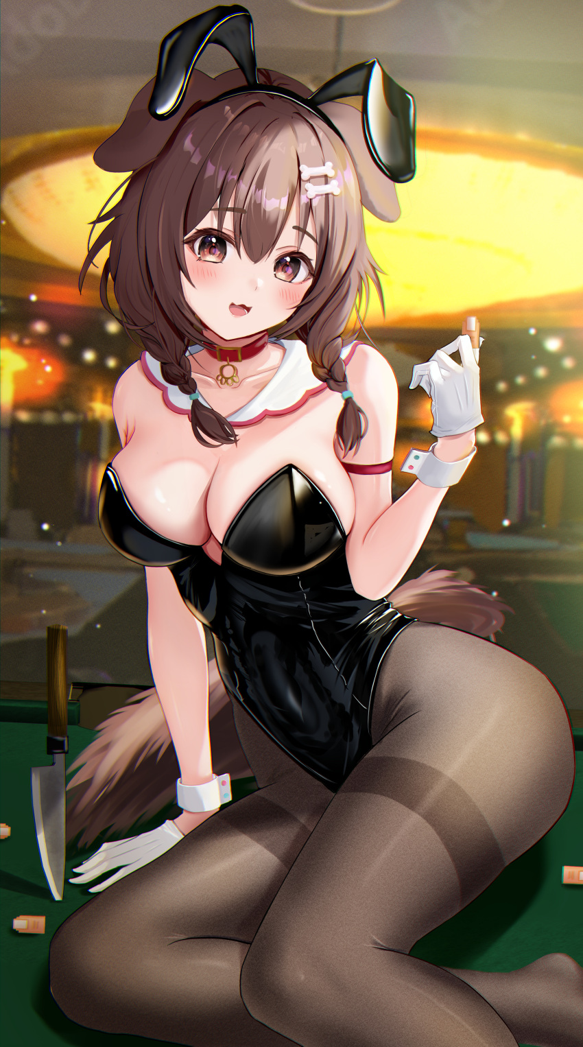 1girl absurdres animal_ears bangs bare_shoulders black_leotard black_pantyhose blush bone_hair_ornament braid breasts brown_eyes brown_hair casino cleavage collar collarbone detached_collar dog_girl dog_tail fake_animal_ears fine_fabric_emphasis foot_out_of_frame gloves hair_between_eyes hair_ornament highres hololive indoors inugami_korone kitchen_knife knife large_breasts legs leotard looking_at_viewer no_shoes open_mouth pantyhose playboy_bunny rabbit_ears red_collar roulette_table side_braids smile solo strapless strapless_leotard table tail torakichi_888 twin_braids virtual_youtuber white_gloves wrist_cuffs