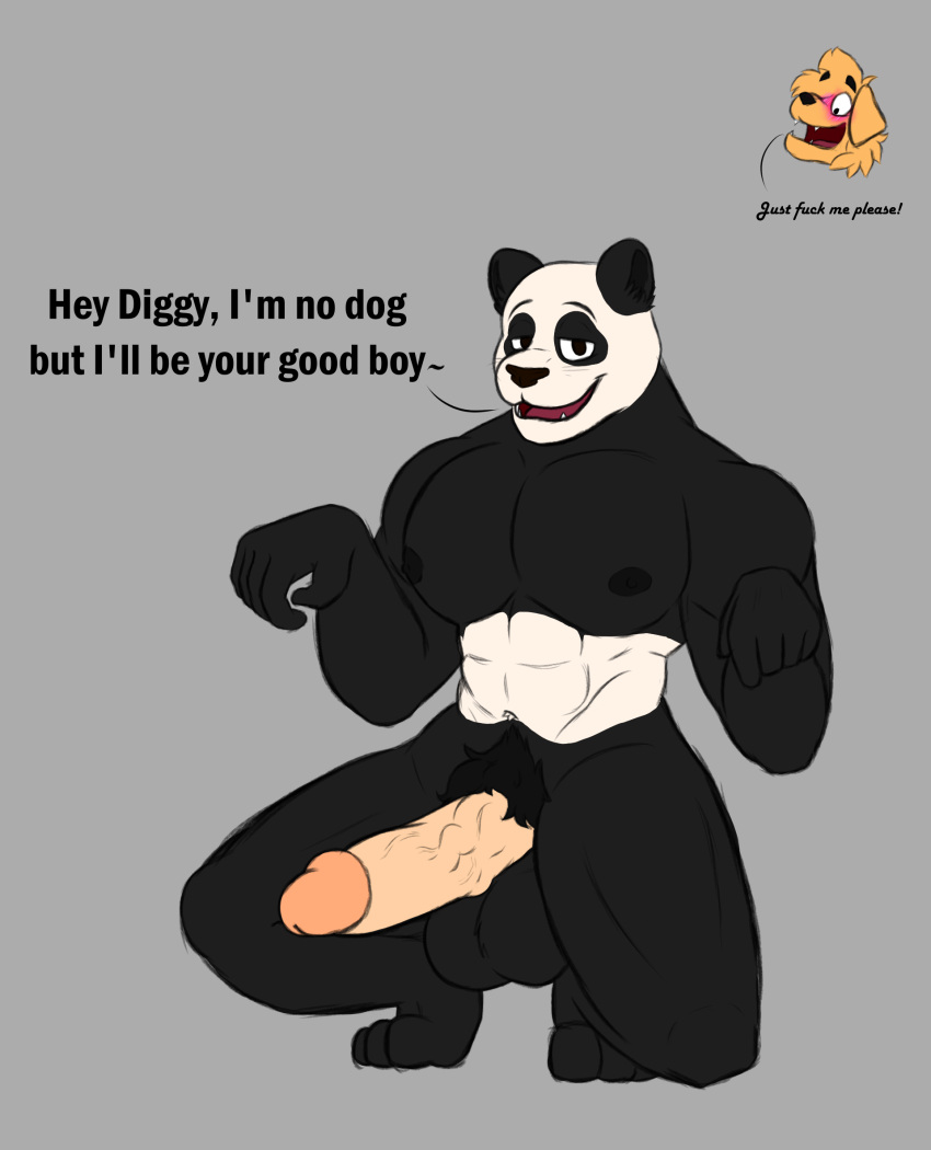 abs anthro balls bear bedroom_eyes big_balls big_penis bird_dog blush canid canine canis diggy(diggydog) diggydog domestic_dog duo erection floppy_ears genitals giant_panda golden_retriever hi_res huge_penis hunting_dog lucas(diggydog) male mammal muscular muscular_male narrowed_eyes nipples pecs penis pubes retriever seductive smile text