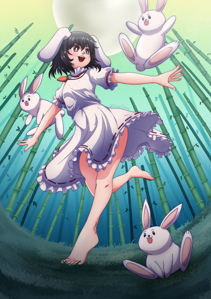 1girl alternate_color animal_ears bamboo bamboo_forest bangs barefoot black_hair blush breasts bright_pupils brown_eyes carrot_necklace commentary_request dress fisheye floppy_ears forest frilled_sleeves frills full_body grass hair_between_eyes highres inaba_tewi jewelry looking_afar looking_to_the_side nature necklace open_mouth qcezssxx123 rabbit rabbit_ears rabbit_girl ribbon-trimmed_dress running short_hair small_breasts smile solo teeth touhou twitter_username upper_teeth_only white_dress white_pupils
