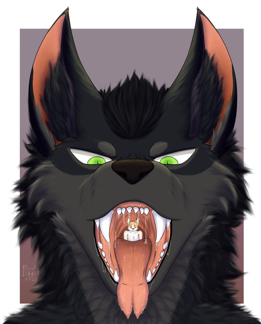 2023 anthro black_body black_fur bodily_fluids canid canine digital_drawing_(artwork) digital_media_(artwork) duo fluffy fur green_eyes hair hi_res male malekart mammal nude open_mouth oral_vore saliva shaded signature simple_background size_difference soft_vore teeth tongue vore