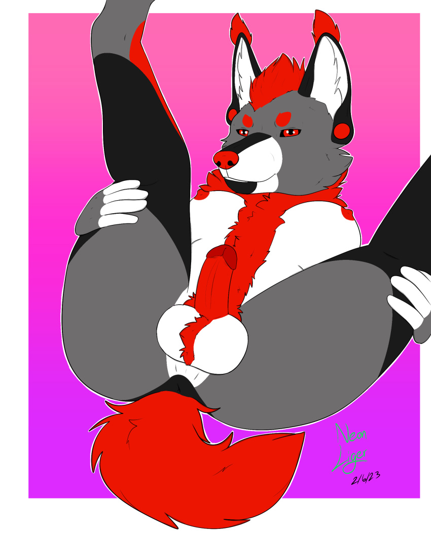 anthro anus balls belly bent_legs big_breasts black_sclera breasts butt canid canine canis digitigrade ear_piercing ear_tuft felid feline flesh_tunnel fur gauged_ear genitals gradient_background gynomorph hair hands_on_legs hands_on_thighs hi_res humanoid_genitalia humanoid_hands humanoid_penis hybrid inner_ear_fluff intersex jett_(neon_lion) legs_up lynx mammal multicolored_body multicolored_fur multicolored_hair neon_lion penis piercing presenting presenting_anus presenting_balls presenting_hindquarters presenting_penis pubes red_eyes red_nose red_penis red_pubic_hair red_tail simple_background smile smiling_at_viewer solo spread_legs spreading tail trans_(lore) trans_woman_(lore) tuft white_balls white_belly wolf