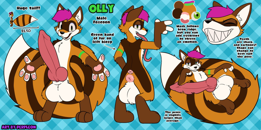 animal_genitalia animal_penis anus big_penis big_tail canid canine canine_genitalia canine_penis english_text fox genitals hi_res huge_penis hybrid hyper hyper_genitalia hyper_penis long_tongue male mammal model_sheet olly_wylde_(ollythefoxcoon) pawpads penis perpleon procyonid puffy_anus raccoon sharp_teeth sheath smile tail teeth text tongue wide_smile