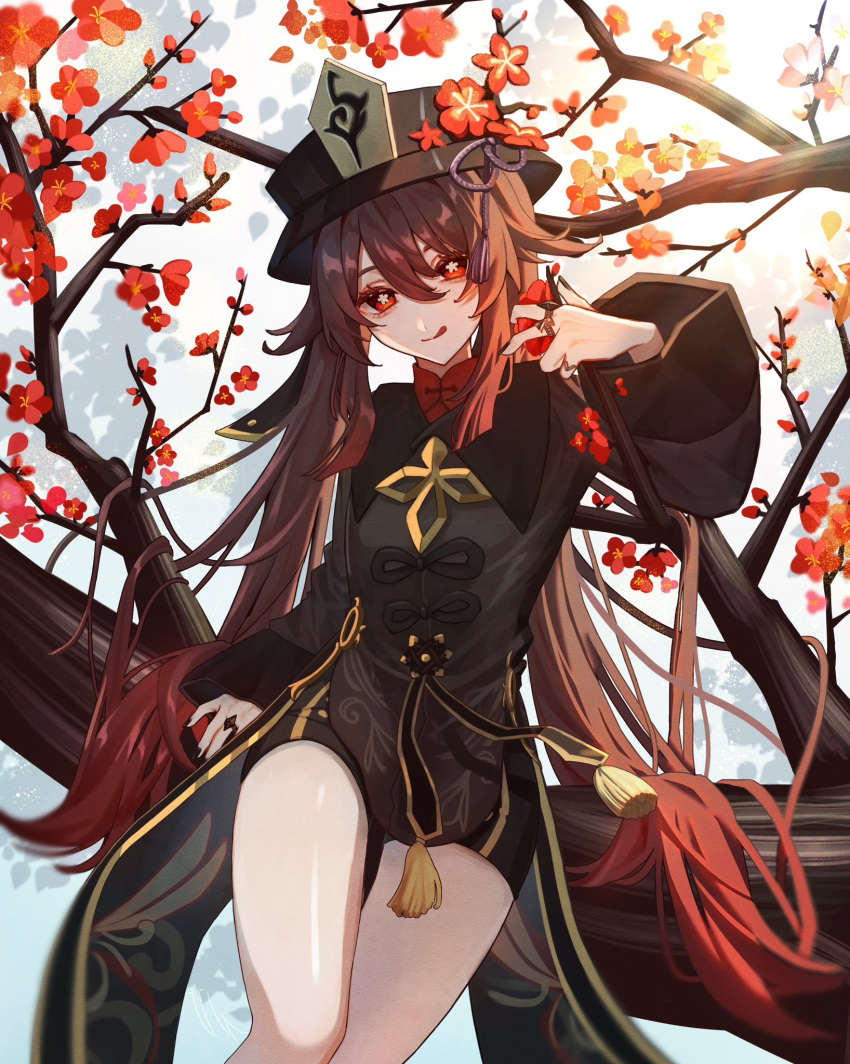1girl :q bangs black_headwear black_nails black_shorts branch brown_coat brown_hair coat coattails colored_tips flower flower-shaped_pupils genshin_impact gradient_hair grey_background hair_between_eyes hair_flaps hand_up hat hat_flower hat_tassel highres holding holding_flower hu_tao_(genshin_impact) in_tree jewelry lety4tk long_hair long_sleeves looking_at_viewer mandarin_collar multicolored_hair multiple_rings plum_blossoms porkpie_hat red_eyes red_flower red_shirt ring shirt short_shorts shorts sidelocks sitting sitting_in_tree solo symbol-shaped_pupils tassel thighs tongue tongue_out tree twintails very_long_hair