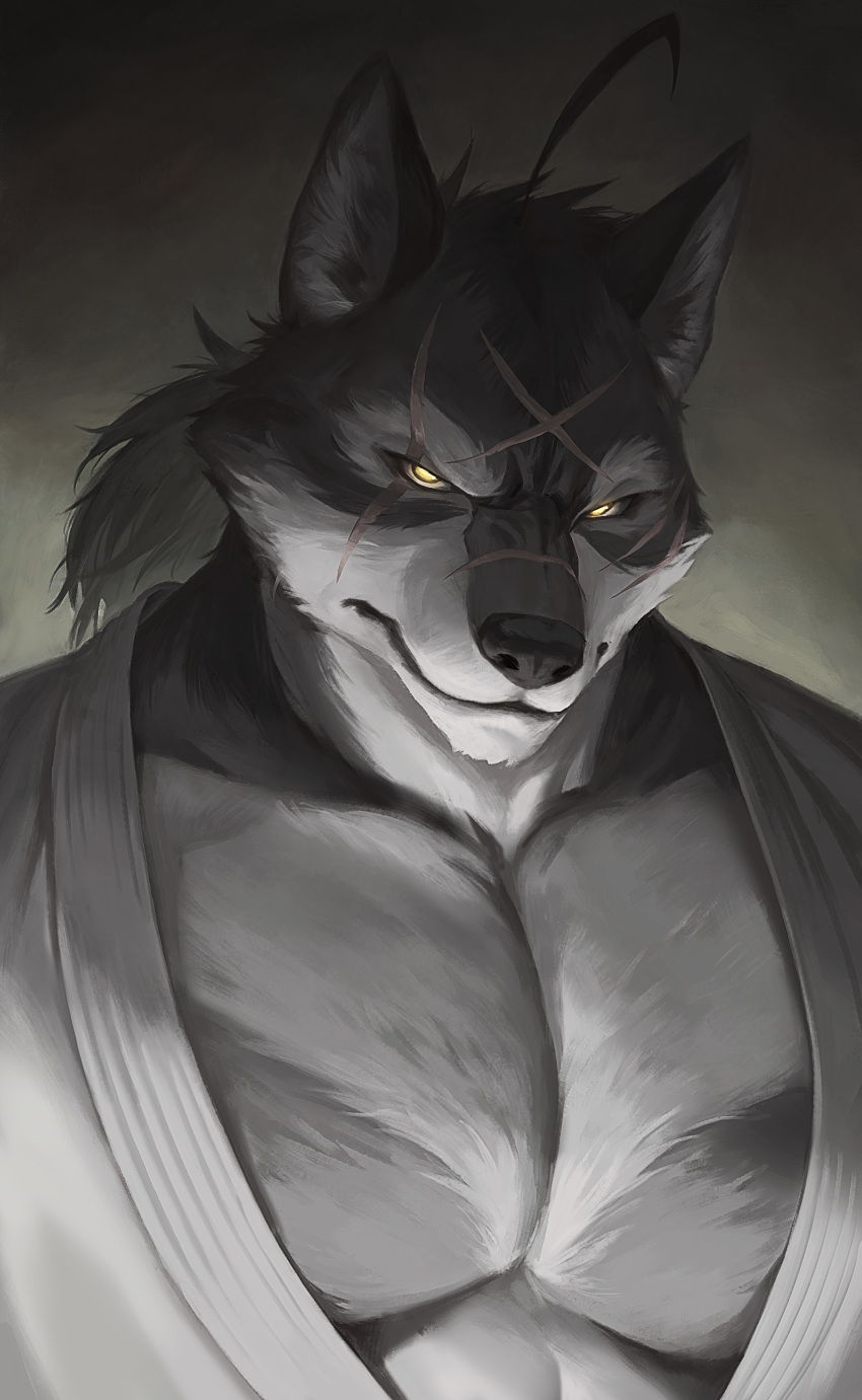 2021 absurd_res anthro big_pecs black_nose canid canine canis chest_markings colored countershade_face countershade_neck countershading eye_scar facial_scar fur grey_body grey_fur grey_theme hair hi_res keikogi long_hair looking_at_viewer male mammal markings martial_arts_uniform morenatsu multicolored_body multicolored_fur muscular muscular_anthro muscular_male nat10730 pecs ponytail restricted_palette scar solo sportswear ten_kodori two_tone_body two_tone_fur wolf yellow_eyes