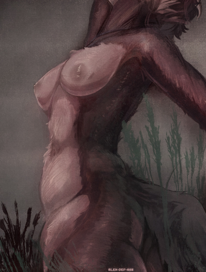 alex-dep-998 anthro belly body_hair breasts butt canid canine canis female field fluffy fur grass hi_res hybrid mammal navel nipples nude plant solo tail torso unknown_artist wolf wolfdog