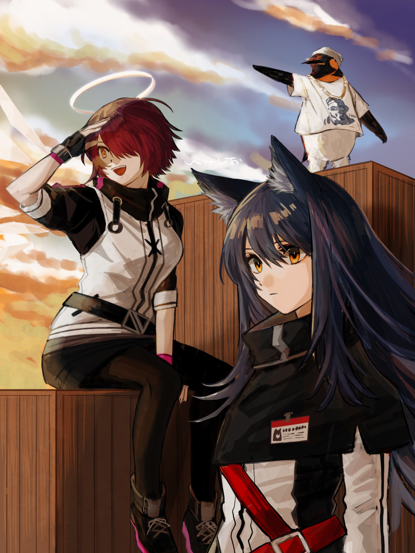 2girls :d absurdres animal_ear_fluff animal_ears arknights between_legs black_footwear black_hair black_pants black_pantyhose box breasts brown_eyes cloud exusiai_(arknights) fingerless_gloves gloves hair_between_eyes hair_over_one_eye halo hand_between_legs hand_up highres id_card jacket k-yosinori long_hair long_sleeves multiple_girls outdoors pants pantyhose penguin_logistics_(arknights) pointing red_hair sitting small_breasts smile texas_(arknights) the_emperor_(arknights) wolf_ears