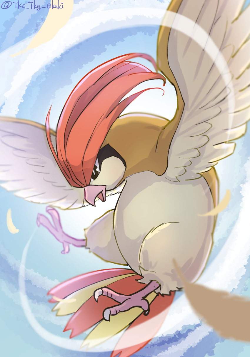 absurdres animal_focus bird black_eyes bright_pupils commentary_request day flying highres looking_down no_humans outdoors pidgeotto pokemon pokemon_(creature) solo talons tkc_(user_snjd8547) white_pupils