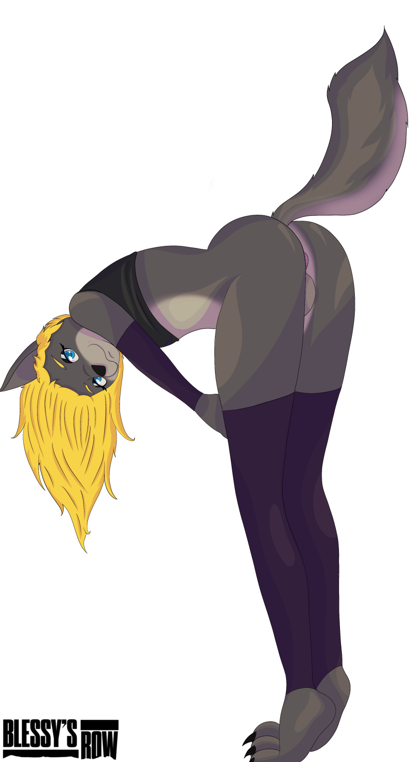 absurd_res anthro arm_warmers armwear bent_over blessy's_row blonde_hair canid canine canis clothing crop_top fur girly grey_body grey_fur hair hi_res legwear male mammal sam_(grifftomboy) shirt solo stockings tagme topwear wolf