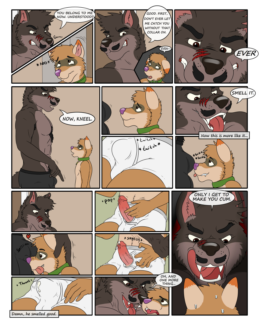 abs absurd_res anthro bodily_fluids bulge canid canine canis clothed clothing comic dave_(martythemarten) dominant dominant_male drooling duo genital_fluids genitals gulonine hi_res male male/male mammal marten marty_the_marten mazedmarten muscular muscular_male musk mustelid musteline penis precum precum_through_clothing precum_through_underwear saliva scar submissive submissive_male sweat tongue tongue_out topless underwear wet wet_clothing wolf young