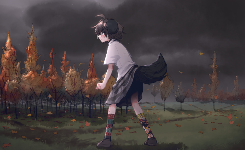 1girl absurdres ahoge animal_ears autumn_leaves bangs blind_girl_(popopoka) body_freckles brown_hair clenched_hand cloud cloudy_sky dog_ears dog_girl dog_tail dragon_ball freckles from_side grass grey_skirt highres kneehighs legs_apart medium_hair original outdoors plaid plaid_skirt popopoka shirt shoes short_sleeves skirt sky socks solo standing tail white_shirt