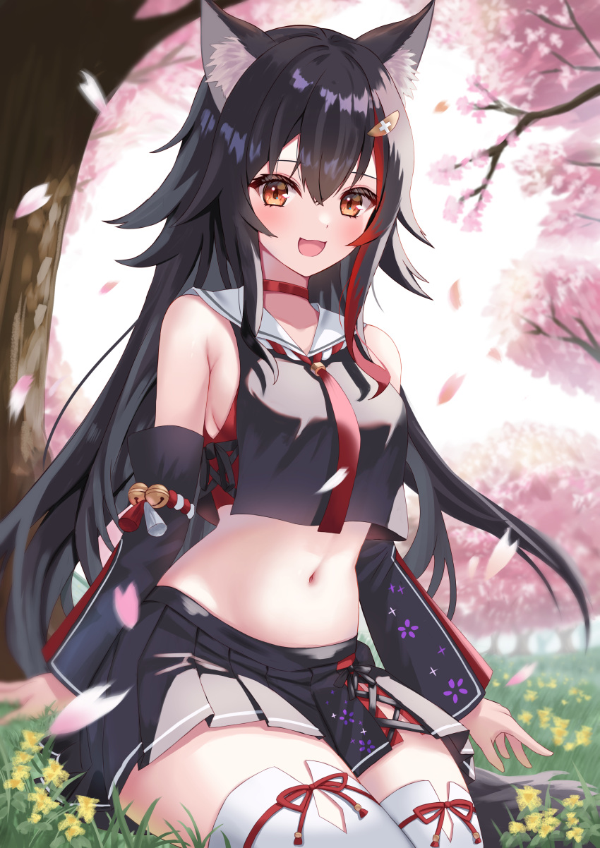 1girl absurdres animal_ear_fluff animal_ears bangs bell black_hair black_serafuku black_shirt black_skirt black_sleeves breasts cherry_blossoms choker crop_top crop_top_overhang cropped_shirt detached_sleeves hair_between_eyes highres hololive jingle_bell kouhaku_nawa long_hair looking_at_viewer miniskirt multicolored_hair navel necktie ookami_mio open_mouth orange_eyes outdoors petals pleated_skirt red_choker red_hair red_necktie rope sailor_collar school_uniform serafuku shimenawa shirt sideboob sidelocks sitting skirt sleeveless sleeveless_shirt smile solo stomach streaked_hair tail tassel thighhighs thorny virtual_youtuber white_sailor_collar white_thighhighs wolf_ears wolf_girl wolf_tail