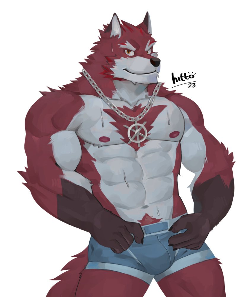 abs anthro barazoku biceps black_nose bodily_fluids body_hair bulge canid canine canis chest_tuft clothed clothing diederich_olsen_(knights_college) digital_media_(artwork) fur hi_res hittoga jewelry knights_college looking_at_viewer male mammal muscular muscular_anthro muscular_male necklace nipples partially_clothed pecs red_body red_fur simple_background solo sweat tuft underwear underwear_only visual_novel wolf