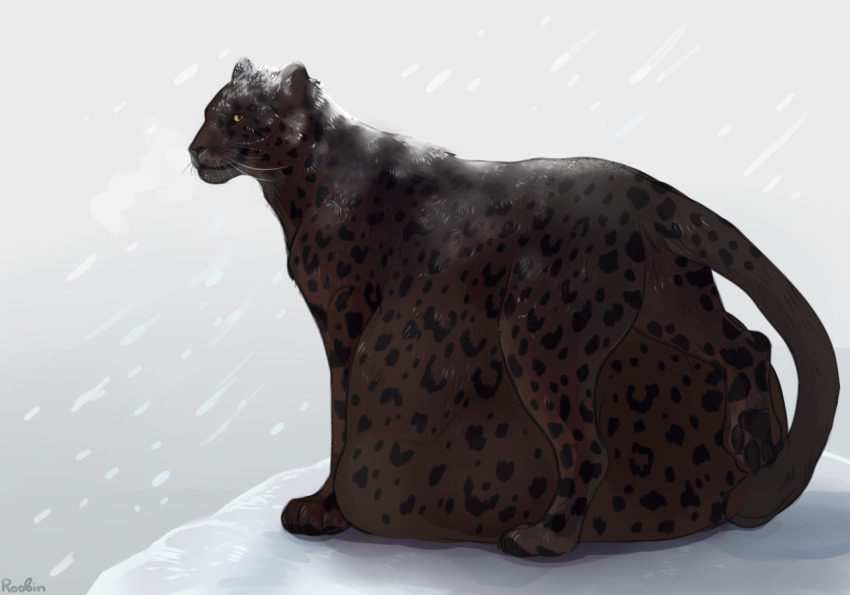ambiguous_gender belly big_belly black_spots brown_body brown_fur closed_smile facial_spots felid feral full-length_portrait fur glistening glistening_eyes huge_belly hyper hyper_belly looking_at_viewer lying mammal markings mouth_closed on_front outside portrait roobin side_view signature snow snowing solo spots spotted_body spotted_face spotted_fur spotted_legs spotted_markings spotted_tail tail tail_markings whiskers yellow_eyes