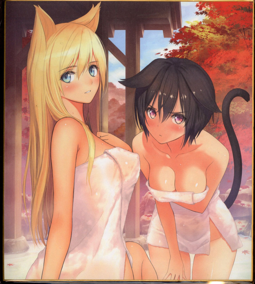 2girls animal_ears cat_ears cat_girl cat_tail highres hot multiple_girls non-web_source onsen tail tony_taka towel two