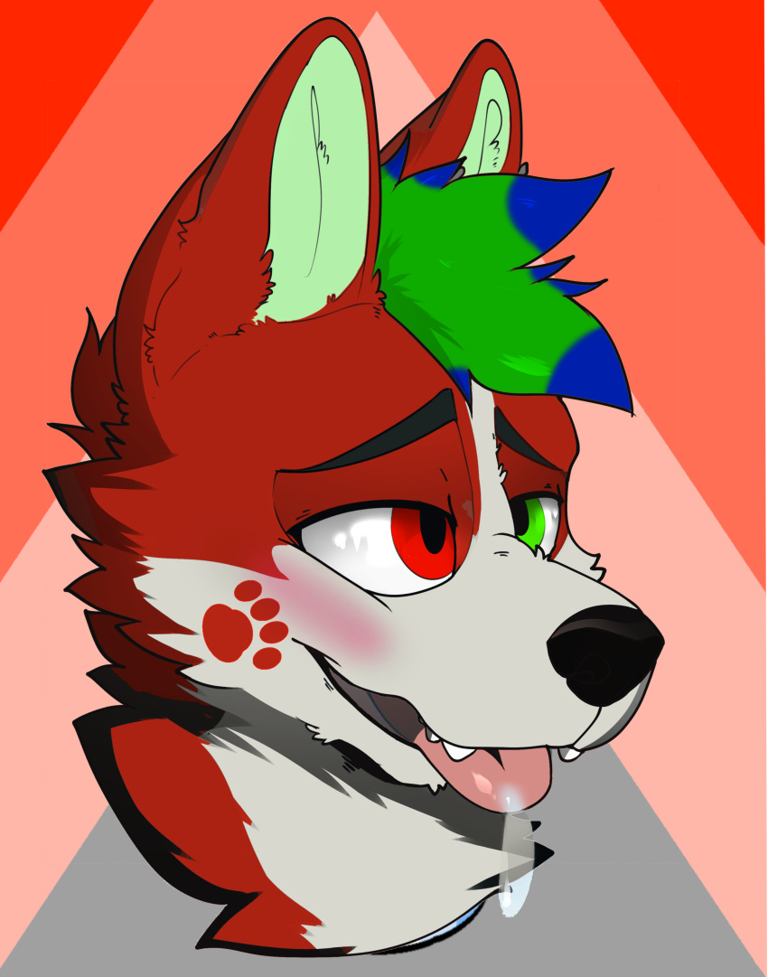 absurd_res anthro blush bodily_fluids decal drooling fur fur_markings headshot_portrait heterochromia hi_res highlights_(coloring) kouhei_does_art markings open_mouth pfp portrait saliva side_view solo tongue tongue_out