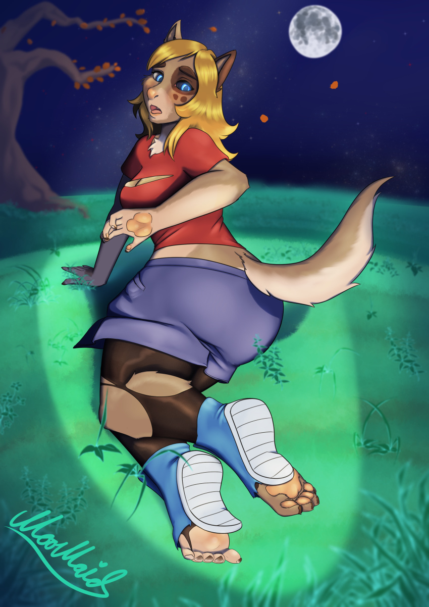 2022 5_fingers 5_toes absurd_res alice_lovage blonde_hair blue_eyes bottomwear breasts brown_body brown_fur canid canine clothing detailed_background digital_media_(artwork) feet female fingers full_moon fur grass hair hi_res human human_to_anthro legwear mammal moomaid moon night open_mouth outside pantyhose pawpads plant red_clothing red_shirt red_topwear shirt skirt solo species_transformation star surprise toes topwear torn_clothing transformation tree were werecanid werecanine werewolf