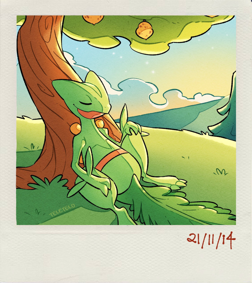 artist_name berry closed_eyes closed_mouth grass highres no_humans outdoors pokemon pokemon_(creature) sceptile sitting sky sleeping smile solo star_(sky) starry_sky sunset teletelo tree