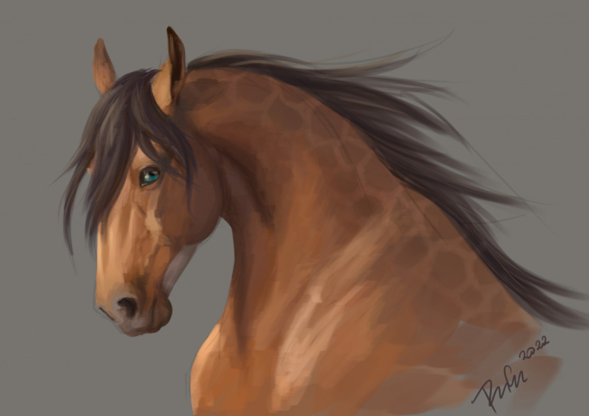 2022 ambiguous_gender blue_eyes brown_body brown_hair brown_mane digital_media_(artwork) dolero equid equine feral hair headshot_portrait horse looking_at_viewer mammal mane portrait rufciu simple_background solo