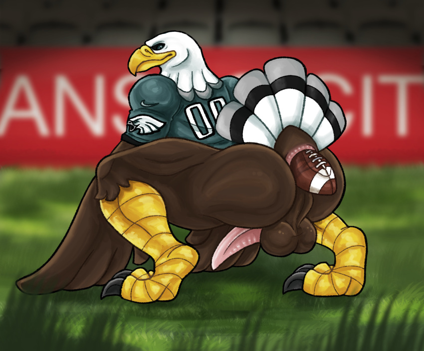 accipitrid accipitriform anthro anus avian bald_eagle balls beak bird butt eagle football_field football_insertion football_uniform genitals hi_res looking_at_viewer looking_back male object_in_ass penis raised_tail sea_eagle solo swoop_(philadelphia_eagles) syndhart tail