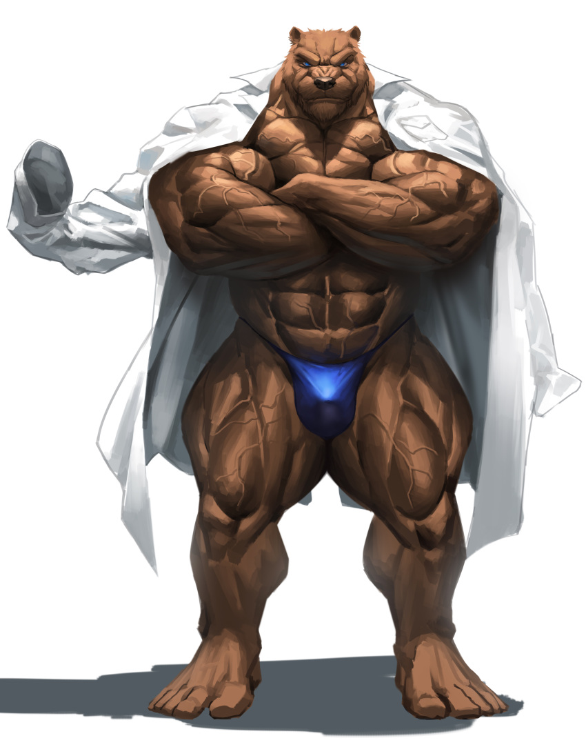 2022 5_toes absurd_res anthro barazoku barefoot bear big_muscles black_nose blue_eyes brown_body brown_fur bulge clothed clothing coat crossed_arms echin feet fur hi_res huge_muscles humanoid_feet lab_coat male mammal muscular muscular_anthro muscular_male plantigrade pose simple_background solo speedo standing swimwear toes topless topwear vein veiny_muscles white_background