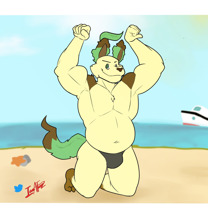 anthro beach belly big_belly bulge chubby_male clothing eeveelution furrz generation_4_pokemon hi_res leafeon letterbox looking_at_viewer male musclegut muscular muscular_male nintendo pokemon pokemon_(species) sea seaside smile smirk smirking_at_viewer solo solo_focus thong underwear water