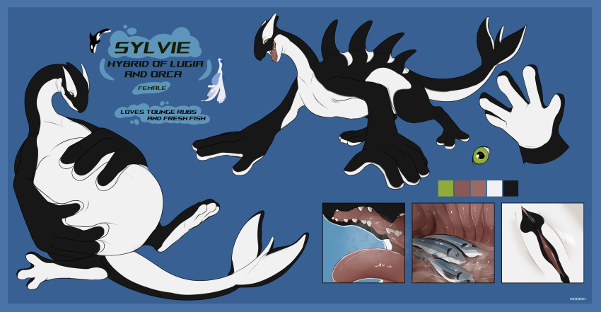 absurd_res artist_name belly big_belly black_body blue_background blue_border border cetacean color_swatch dolphin english_text female fish generation_2_pokemon genitals glistening glistening_eyes green_eyes group hi_res huge_belly hybrid internal legendary_pokemon lugia mammal marine model_sheet mouth_closed nintendo oceanic_dolphin open_mouth orca pokemon pokemon_(species) pussy red_tongue roobin simple_background teeth text tongue toothed_whale vore white_body