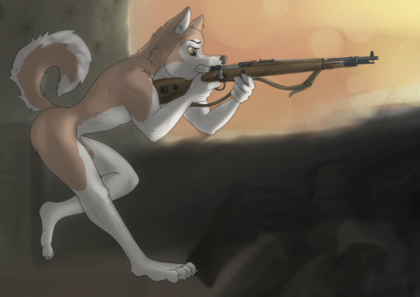 alaskan_malamute anthro brown_eyes canid canine canis domestic_dog gun holding_object holding_weapon humanoid_genitalia husky kar98k male mammal nordic_sled_dog nude ranged_weapon rifle sniper_rifle soldier solo spitz warrior weapon wolfyalex96