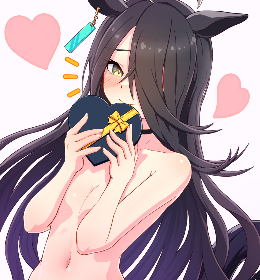 1girl absurdres animal_ears black_hair blush box breasts choker collarbone commentary_request completely_nude gift gift_box hair_over_one_eye heart heart-shaped_box heart_background highres holding holding_box holding_gift horse_girl long_hair looking_at_viewer manhattan_cafe_(umamusume) navel nude smile solo special_cat umamusume upper_body valentine very_long_hair yellow_eyes