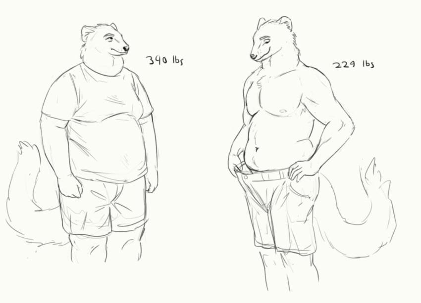 anthro before_and_after belly bottomwear cettus clothed clothing fisher_(animal) gulonine keld_pederson looking_down male mammal mustelid musteline overweight overweight_anthro overweight_male pants sequence shirt shorts sketch slightly_chubby slightly_chubby_anthro slightly_chubby_male solo standing topless topwear weight_loss