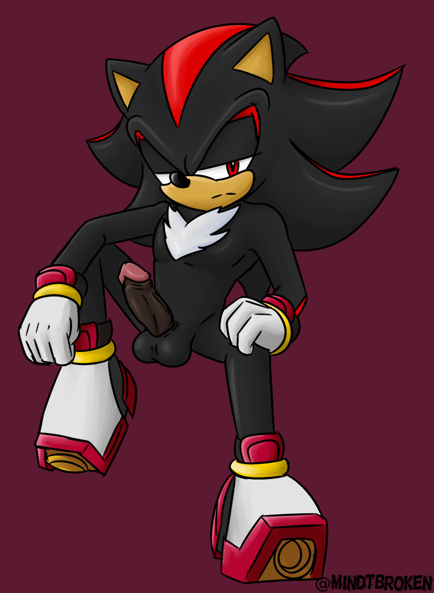 absurd_res balls black_balls black_penis erection eulipotyphlan genitals hedgehog hi_res male male_focus mammal mindtbroken penis sega shadow_the_hedgehog solo sonic_the_hedgehog_(series) spread_legs spreading unimpressed