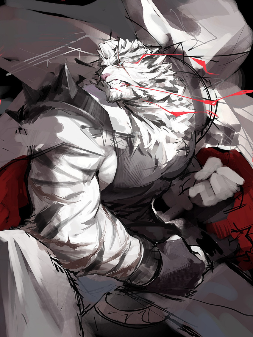 1boy animal_ears arknights bara black_tank_top clenched_hands clenched_teeth enn_matien eye_trail feet_out_of_frame fighting_stance fingerless_gloves furry furry_male gloves highres jacket jacket_on_shoulders large_pectorals light_trail male_focus mountain_(arknights) multicolored_hair muscular muscular_male pants pectorals scar scar_across_eye scar_on_face serious short_hair sidepec solo spikes standing streaked_hair tank_top teeth tiger_boy tiger_ears tiger_stripes unfinished white_fur white_hair white_pants wind