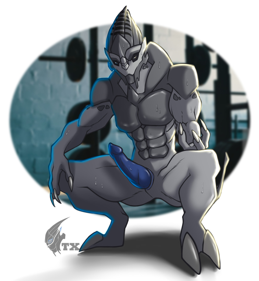 absurd_res alien anthro blue_penis bodily_fluids crouching genitals gym hi_res inviting male mass_effect neonyx penis presenting sweat sweatdrop turian