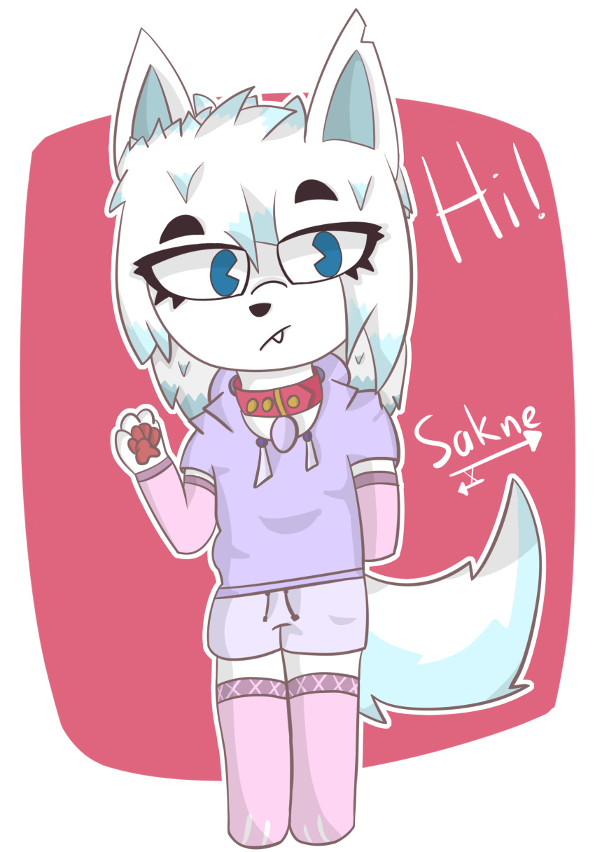 absurd_res anthro arctic_fox arctic_wolf armwear blue_eyes blue_hair canid canine canis clothing female female/female footwear fox fur hair hi_res legwear male male/female mammal pawpads pink_clothing pink_pawpads red_pawpads sakne socks solo sweatshirt thigh_highs white_body white_fur white_hair wolf