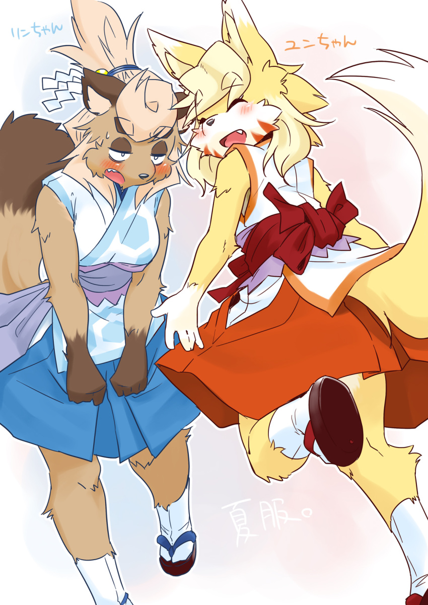 2girls ^_^ animal_ear_fluff animal_ears animal_nose bangs bare_shoulders blonde_hair blue_hakama blue_trim blush body_fur breasts brown_footwear brown_fur character_name closed_eyes commentary_request embarrassed facial_mark facing_viewer fang fox_ears fox_girl fox_tail from_behind furry furry_female hair_tie hakama hakama_short_skirt hakama_skirt half-closed_eyes happy highres hip_vent japanese_clothes kame_(3t) kimono kneepits leaning_forward leg_up looking_back medium_breasts medium_hair miko multiple_girls obi open_mouth orange_trim original outline partial_commentary raccoon_ears raccoon_girl raccoon_tail red_hakama rin-chan_(kame_(3t)) sandals sash shide shy sidelocks sideways_mouth simple_background skirt sleeveless sleeveless_kimono smile snout socks standing standing_on_one_leg swept_bangs tabi tail tail_raised thick_eyebrows topknot translated two-tone_fur whisker_markings white_eyes white_fur white_kimono white_outline white_socks yellow_fur yun-chan_(kame_(3t))