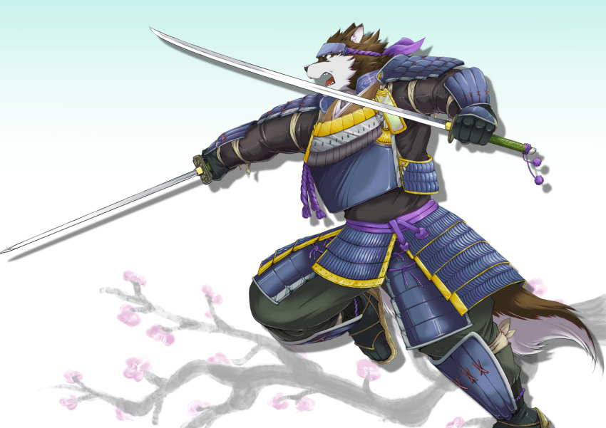 action_pose anthro armor aro_rouon branch brown_body brown_fur canid canine canis cherry_blossom clothed clothing dual_wielding fur green_eyes hi_res holding_object holding_sword holding_weapon male mammal melee_weapon open_mouth plant pose samurai solo suruga sword teeth tongue warrior weapon wolf